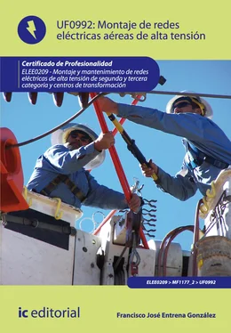 Francisco José Entrena González Montaje de redes eléctricas aéreas de alta tensión. ELEE0209 обложка книги