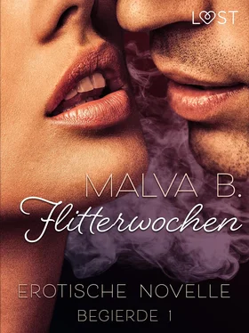 Malva B. Begierde 1 - Flitterwochen: Erotische Novelle обложка книги