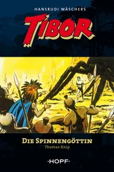 Thomas Knip - Tibor (zweite Serie) 1 - Die Spinnengöttin