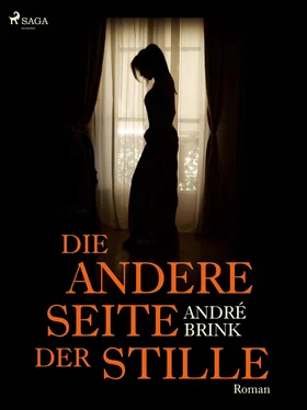 Andre Brink Die andere Seite der Stille обложка книги