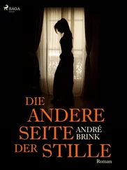 Andre Brink - Die andere Seite der Stille