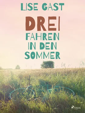 Lise Gast Drei fahren in den Sommer обложка книги