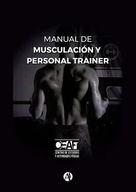 Ezequiel Barletta Manual de musculación y personal trainer обложка книги