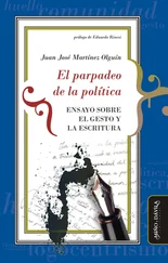Juan José Martínez Olguín - El parpadeo de la política