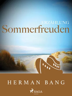 Herman Bang Sommerfreuden обложка книги