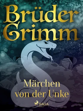 Brüder Grimm Märchen von der Unke обложка книги