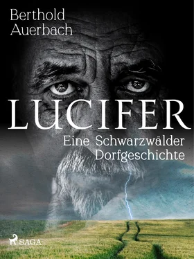 Berthold Auerbach Lucifer. Eine Schwarzwälder Dorfgeschichte обложка книги