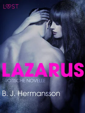 B. J. Hermansson Lazarus: Erotische Novelle обложка книги