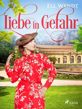 Ell Wendt Liebe in Gefahr обложка книги