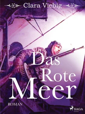 Clara Viebig Das rote Meer обложка книги