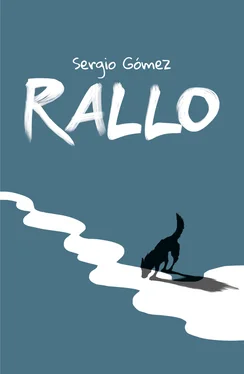 Sergio Gómez Rallo обложка книги