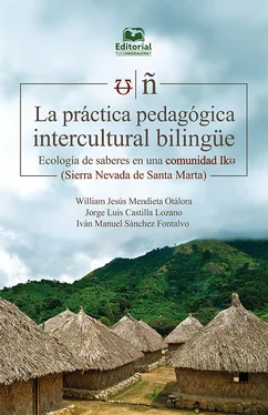 Iván Manuel Sánchez Fontalvo La práctica pedagógica intercultural bilingüe обложка книги