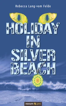 Rebecca Lang-vom Felde Holiday in Silver Beach обложка книги