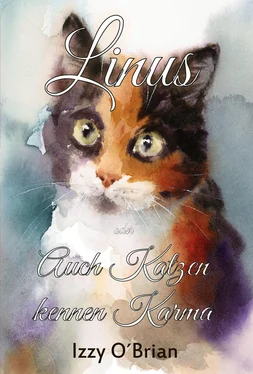 Izzy O'Brian Linus обложка книги