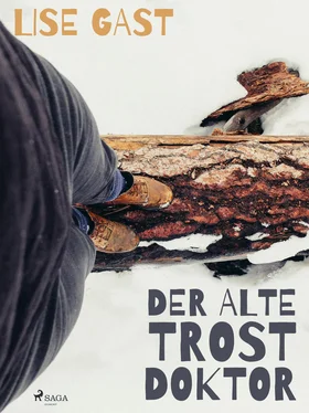 Lise Gast Der alte Trostdoktor обложка книги