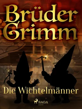 Brüder Grimm Die Wichtelmänner обложка книги