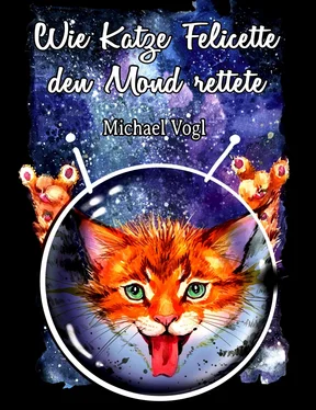 Michael Vogl Wie Katze Felicette den Mond rettete обложка книги
