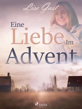 Lise Gast Eine Liebe im Advent обложка книги