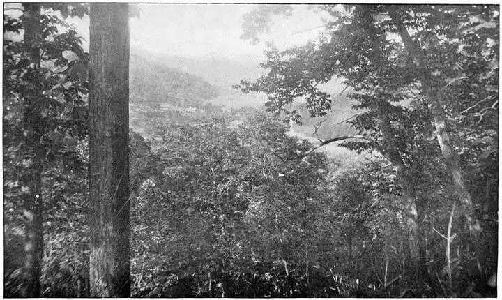 PL I PHOTOGRAPH BY AUTHOR 1888 IN THE CHEROKEE MOUNTAINS I Introduction - фото 2