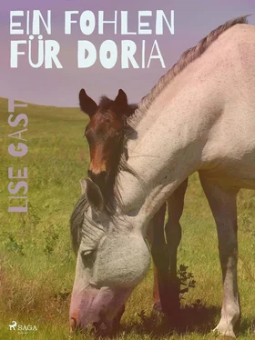 Lise Gast Ein Fohlen für Doria обложка книги