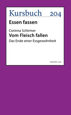Corinna Schirmer Vom Fleisch fallen. обложка книги