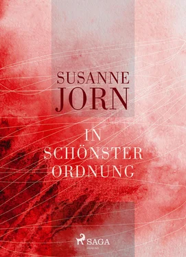 Susanne Jorn In schönster Ordnung обложка книги