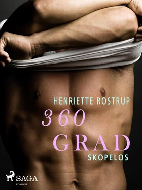Henriette Rostrup 360 Grad - Skopelos (Erotische Geschichten, Band 8) обложка книги