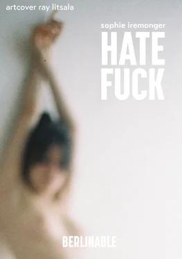 Sophie Iremonger Hate Fuck обложка книги
