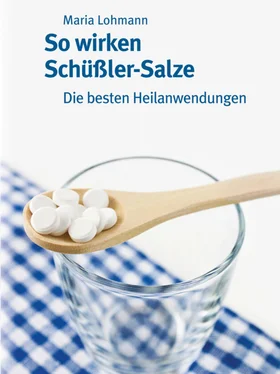 Maria Lohmann So wirken Schüßler-Salze обложка книги