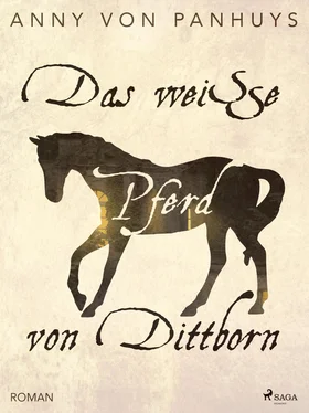Anny von Panhuys Das weiße Pferd von Dittborn обложка книги