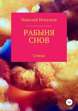 Николай Игнатков Рабыня снов обложка книги