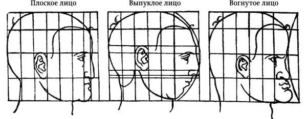 Три типа человеческих лиц Скошенные лица Профильные изображения лиц могут - фото 111