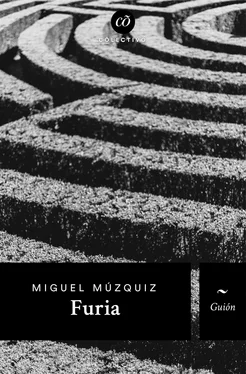 Miguel Múzquiz Furia обложка книги