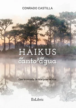 Conrado Castilla Haikus del canto y del agua обложка книги