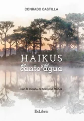 Conrado Castilla - Haikus del canto y del agua