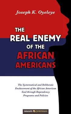 Joseph K. Oyeleye The Real Enemy of the African Americans обложка книги