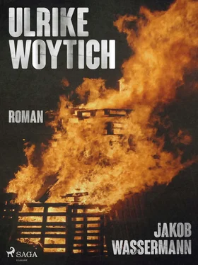 Jakob Wassermann Ulrike Woytich обложка книги