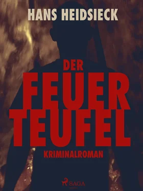 Hans Heidsieck Der Feuerteufel обложка книги