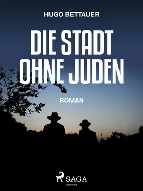Hugo Bettauer Die Stadt ohne Juden обложка книги