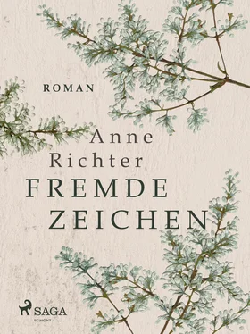 Anne Richter Fremde Zeichen обложка книги