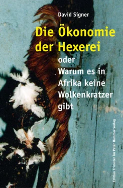 David Signer Die Ökonomie der Hexerei обложка книги