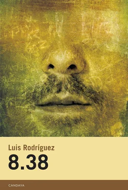 Luis Rodríguez 8.38 обложка книги