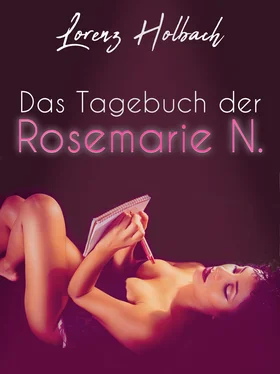 Lorenz Holbach Das Tagebuch der Rosemarie N. обложка книги