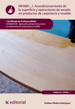 Esteban Molina Rodríguez Acondicionamiento de la superficie y operaciones de secado en productos de carpintería y mueble. MAMD0109 обложка книги