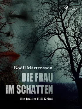 Bodil Mårtensson Die Frau im Schatten обложка книги