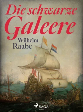 Wilhelm Raabe Die schwarze Galeere обложка книги
