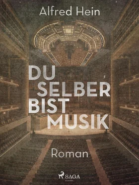 Alfred Hein Du selber bist Musik обложка книги