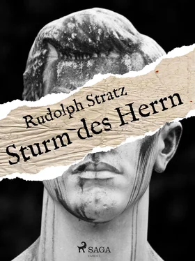 Rudolf Stratz Sturm des Herrn обложка книги