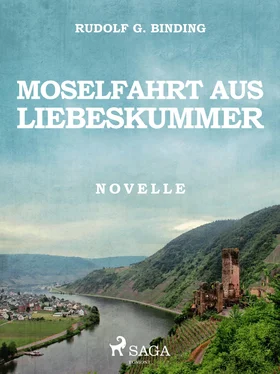 Rudolf G. Binding Moselfahrt aus Liebeskummer обложка книги