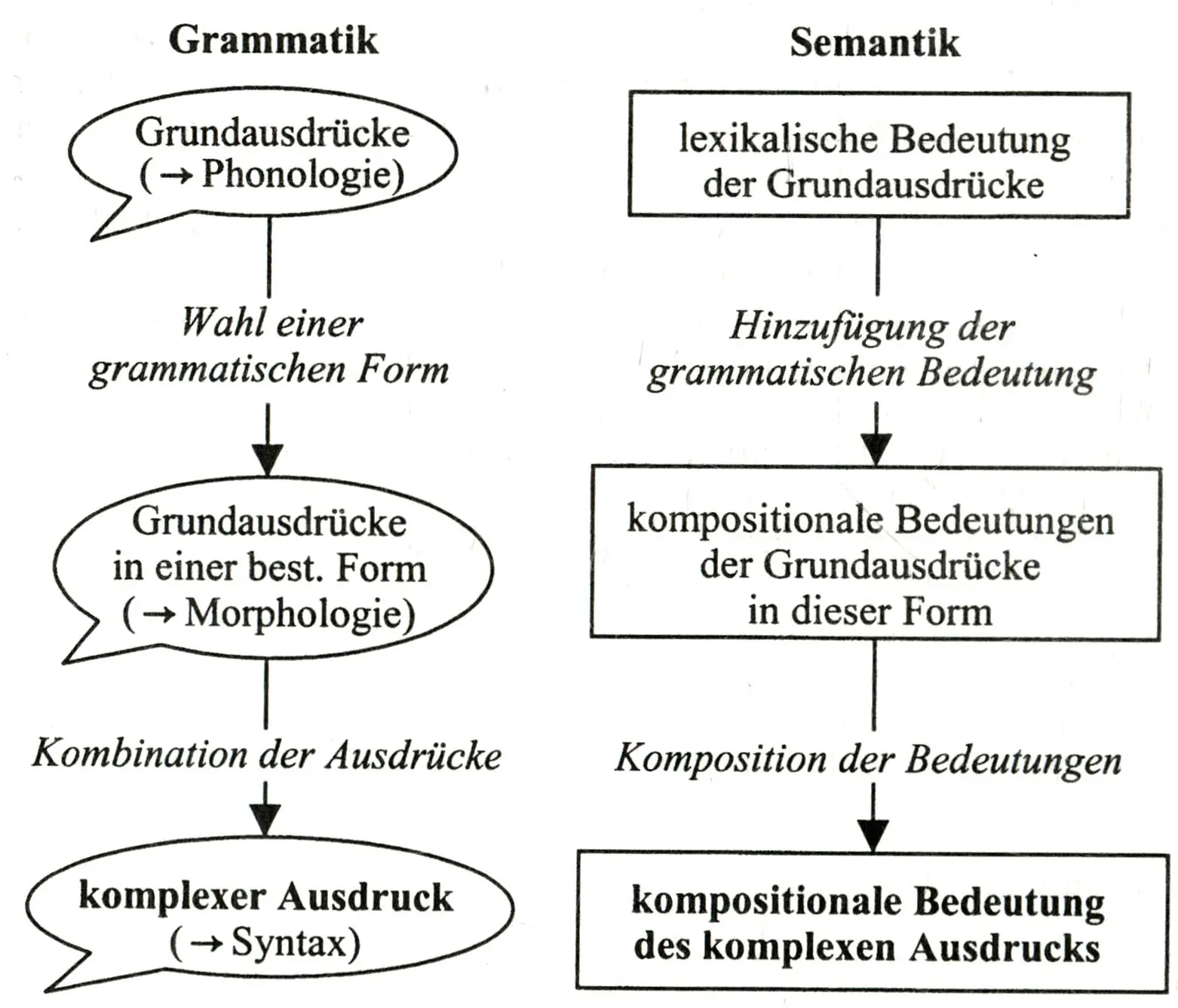Abb 230a Grammatischer Aufbau und Bedeutungskomposition erfolgen parallel - фото 39